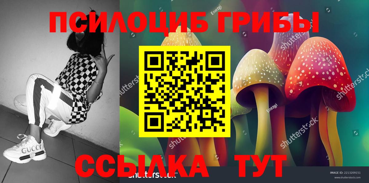 Галлюциногенные грибы мицелий  Вход с VPN  Советская Гавань 